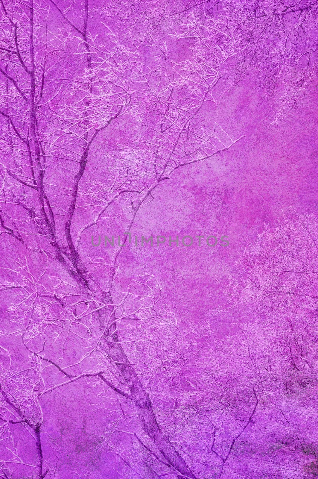 Background texture in purple with tree pattern.