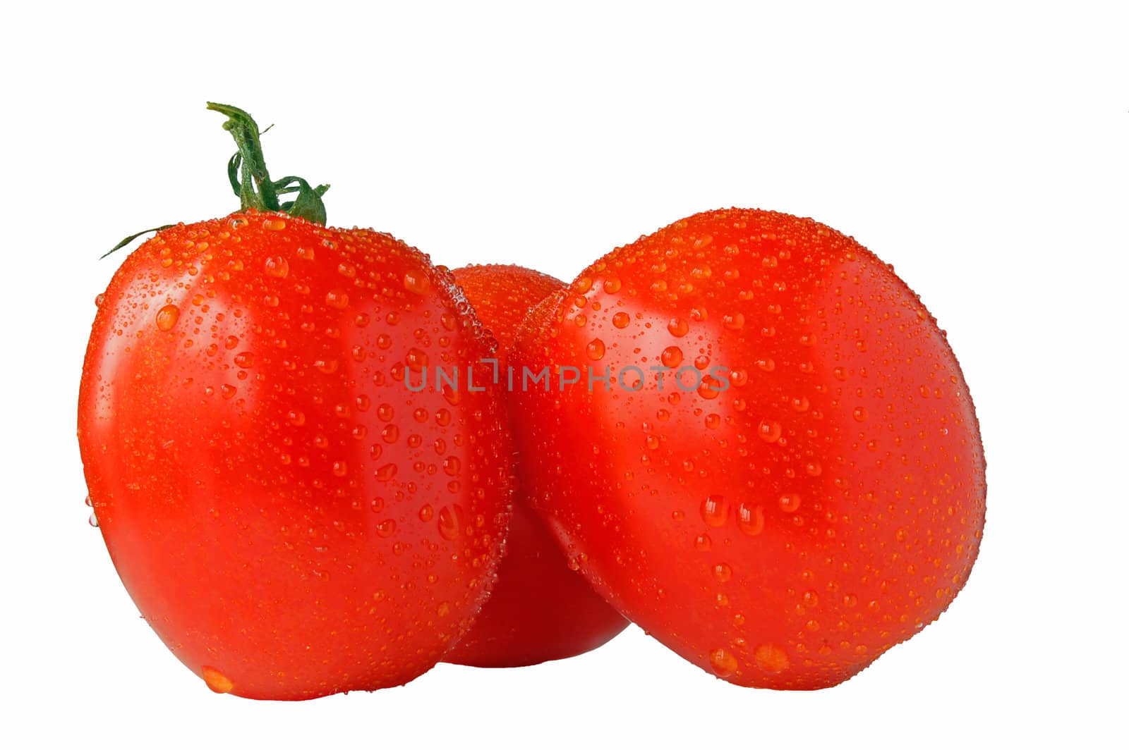 Three tomatos on white background