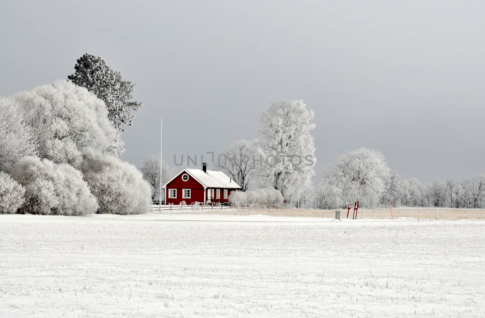 Red cottage in white landscape with hoarfrost.