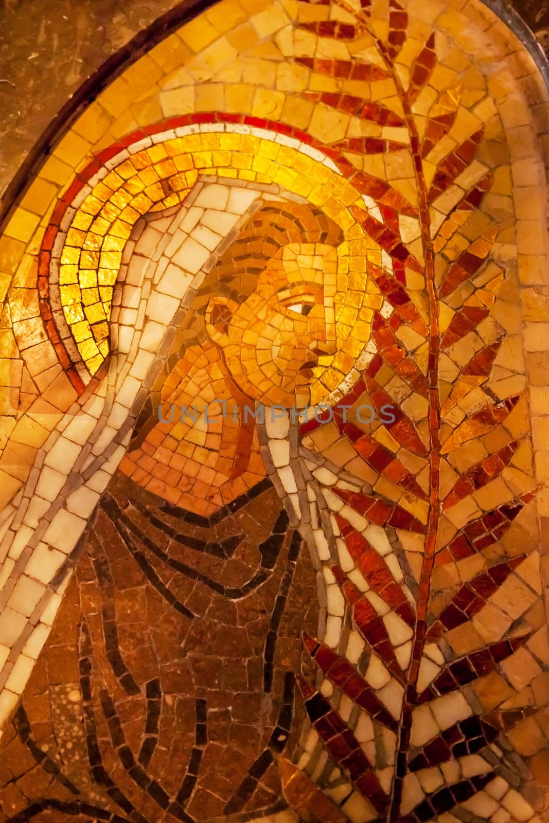 Angel Palm Frond Mosaic Monastery Montserrat Catalonia Spain by bill_perry