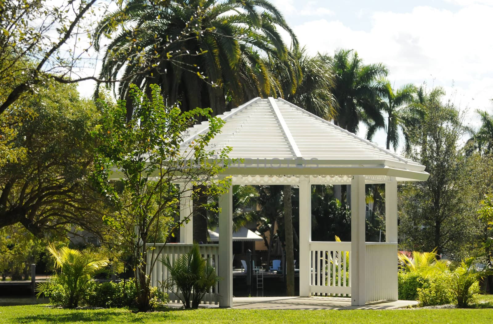 gazebo outdoors in summer surrounded by trees and nature