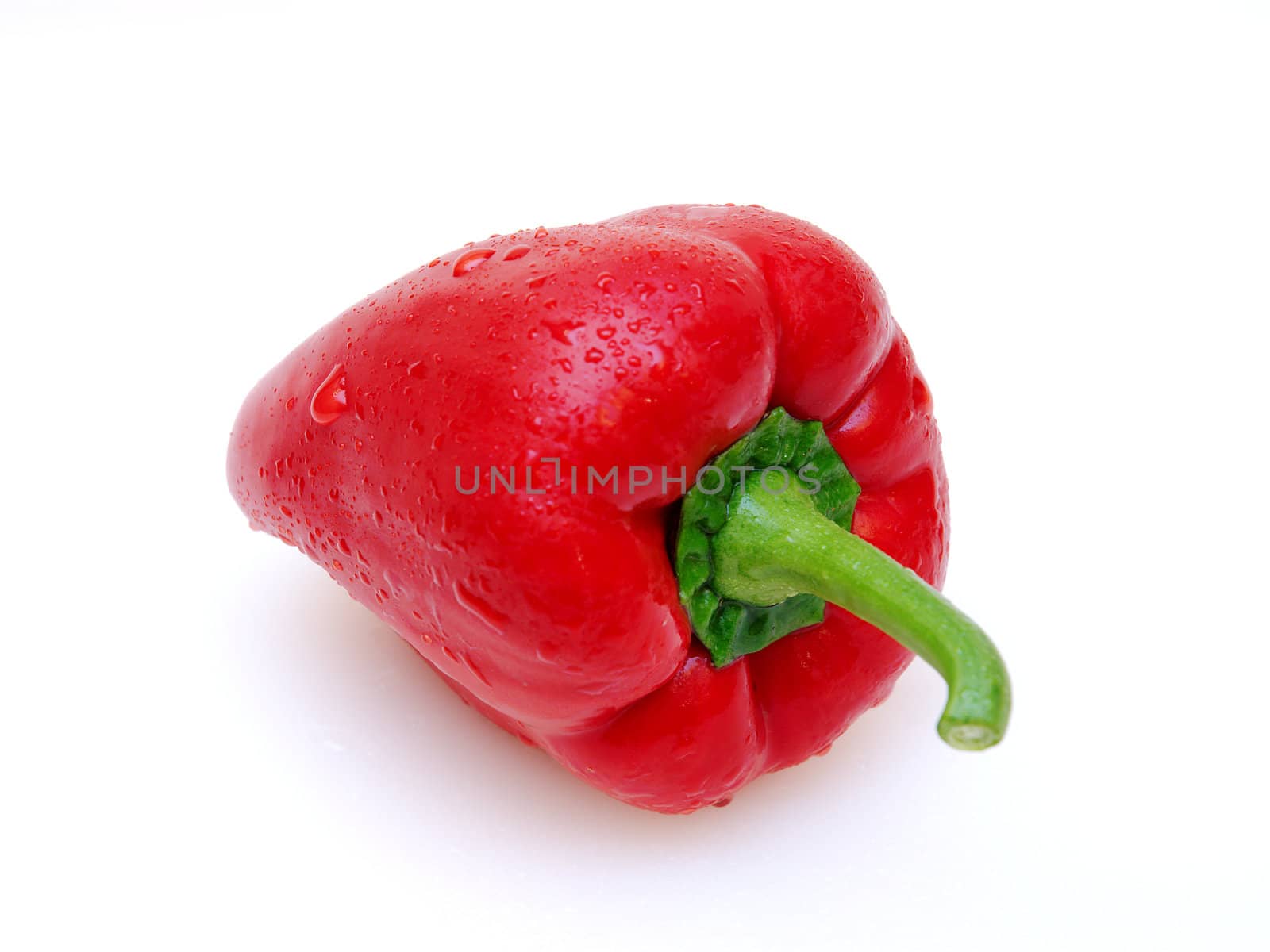 red paprika with water drops on a white background