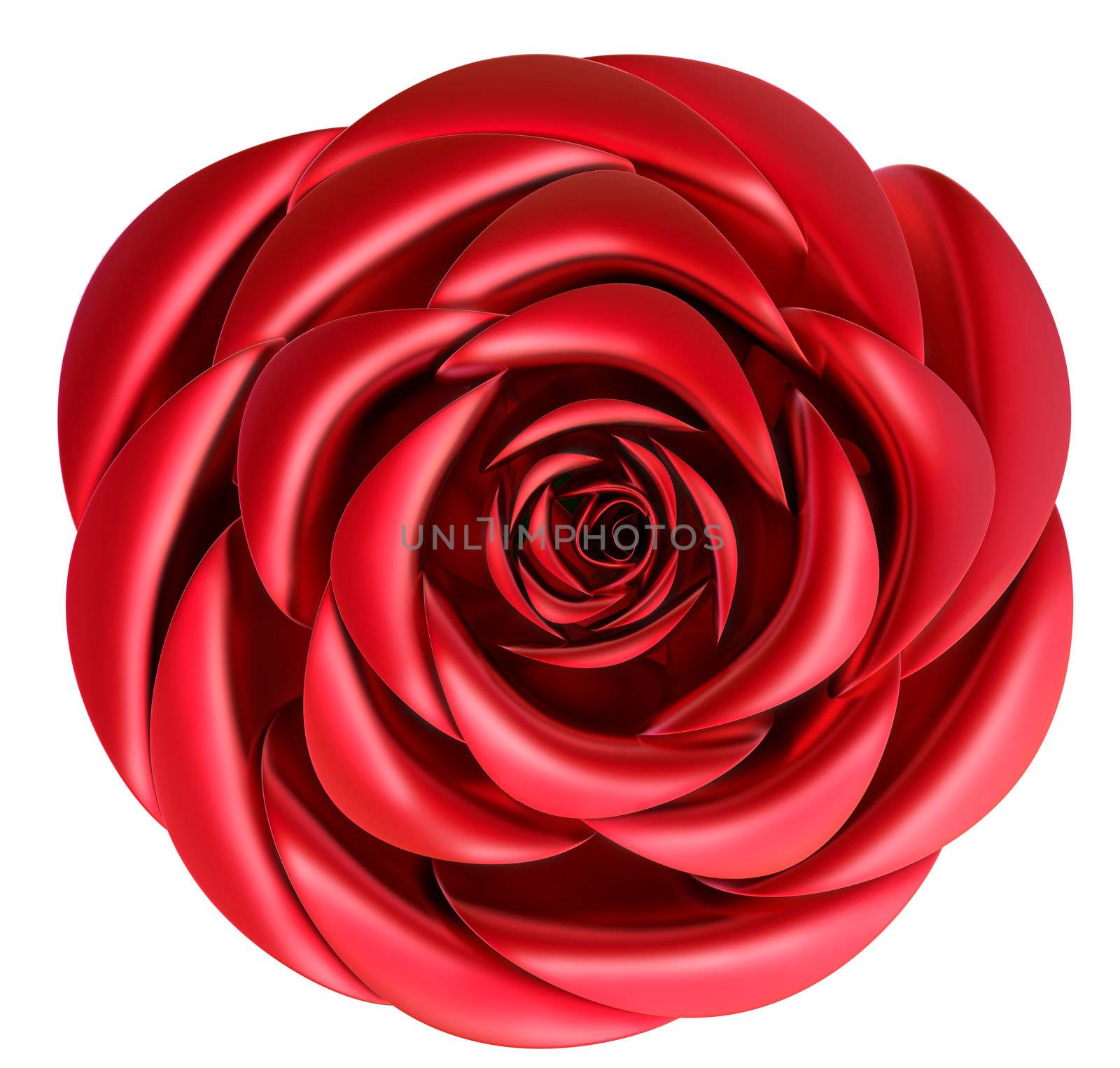 beautiful red rose as decoration for celebration of Valentine's Day