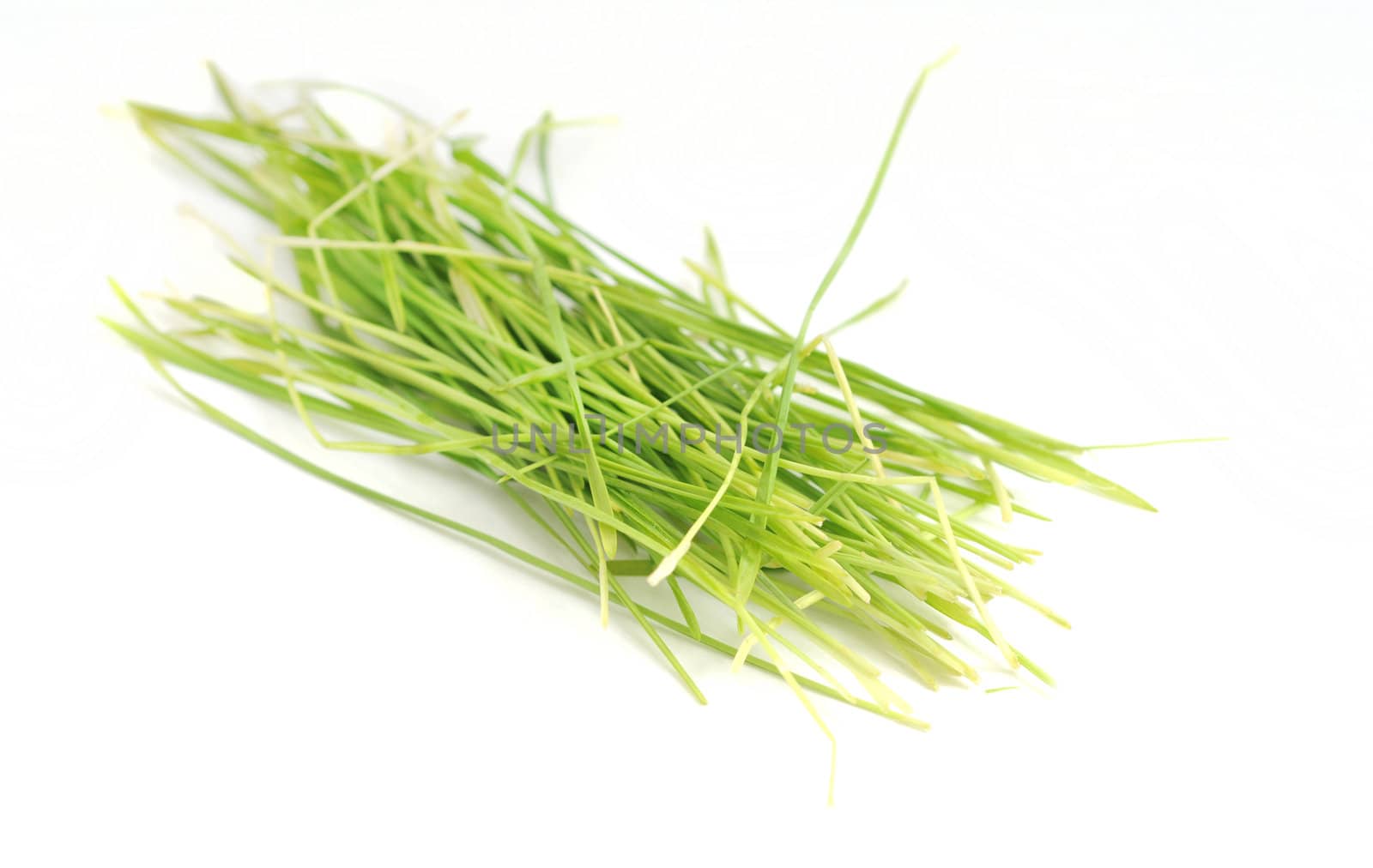 raw lifestyle with wheatgrass