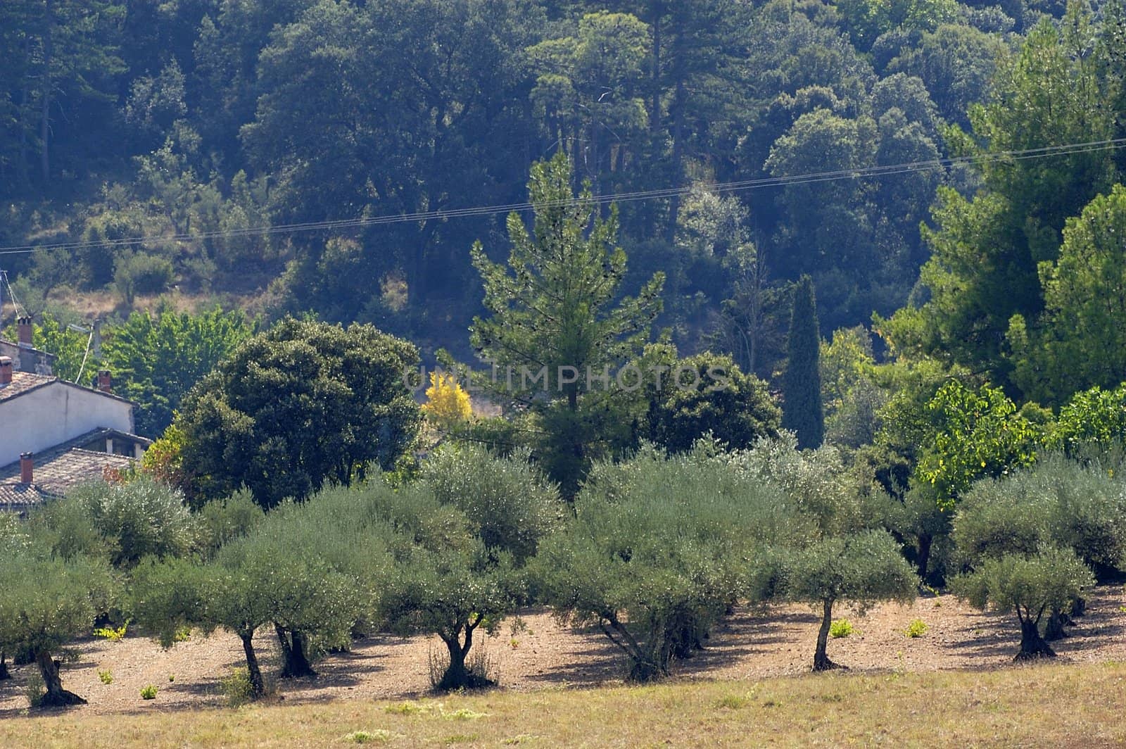 French landscape of the Cevennes in the department of Gard