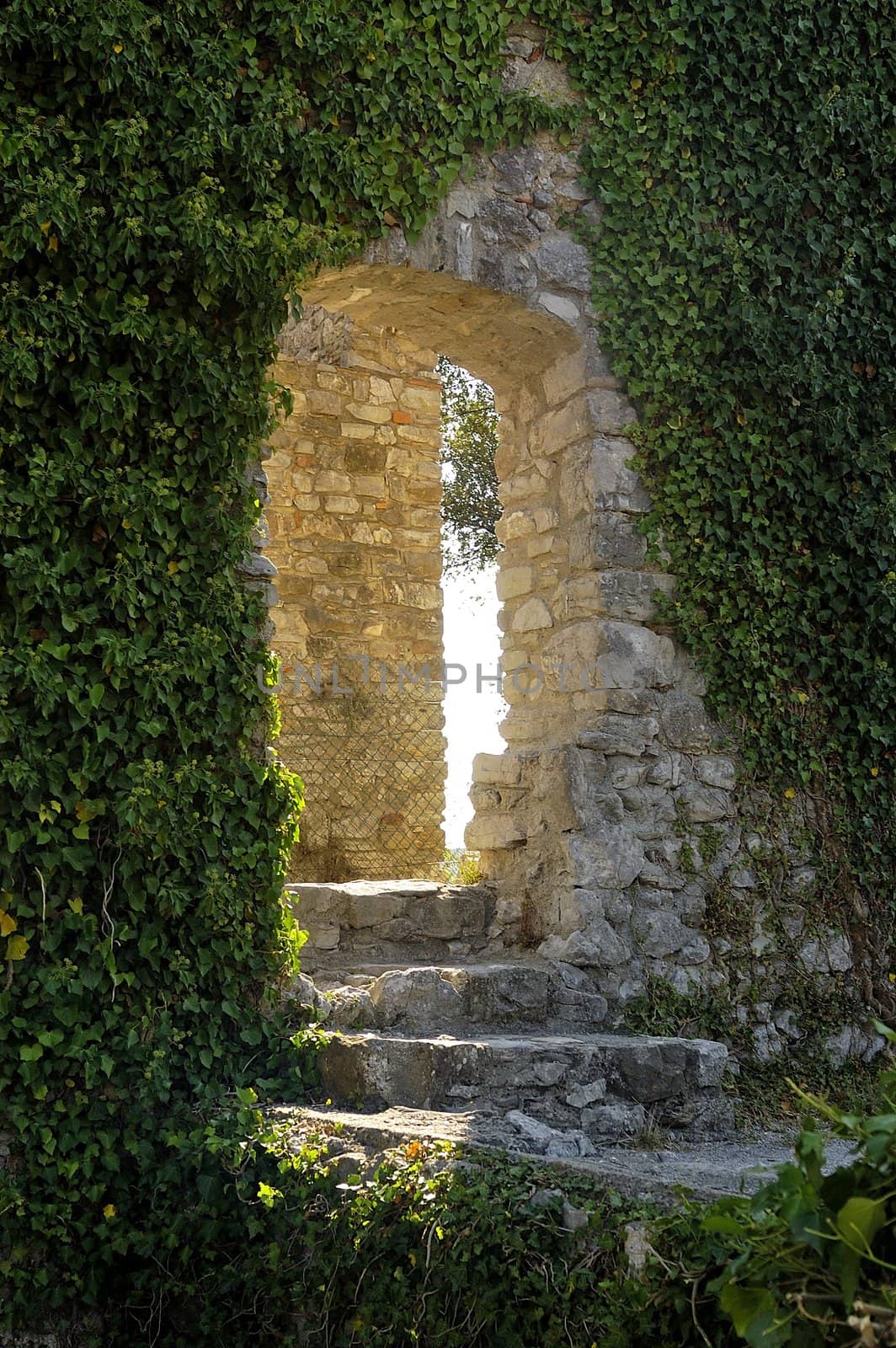 Castle of Tornac in the French area of the Cevennes in the department of Gard