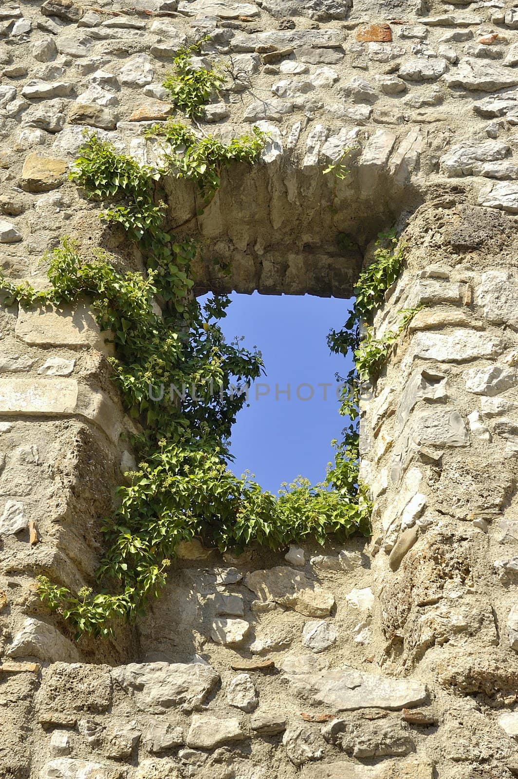 Castle of Tornac in the French area of the Cevennes in the department of Gard