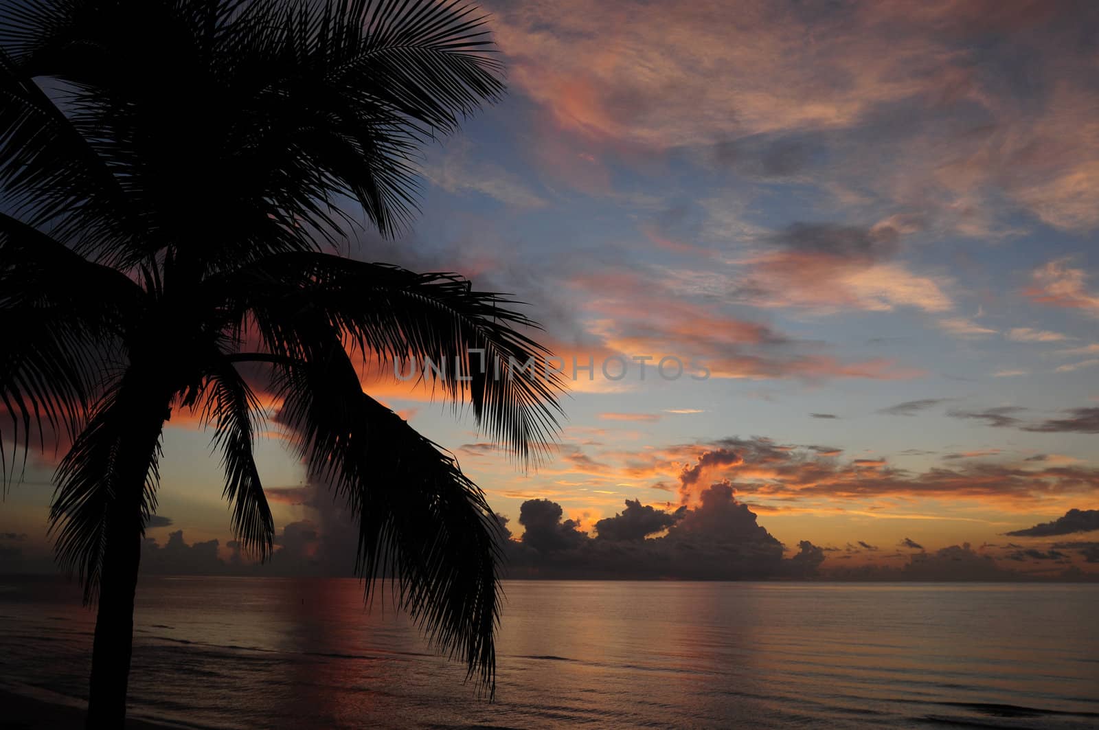 Tropical sunrise over ocean by ftlaudgirl