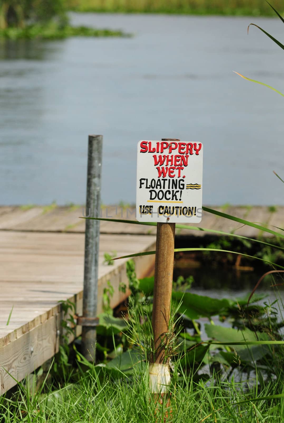 Slippery when wet by ftlaudgirl