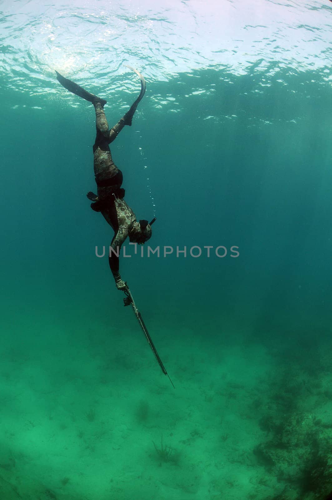 Man underwater spearfishing and free diving in camouflage wetsuit in Atlantic Ocean