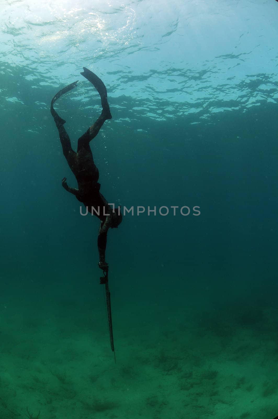 Man free diving and spearfishing in camouflage wetsuit in Atlantic Ocean
