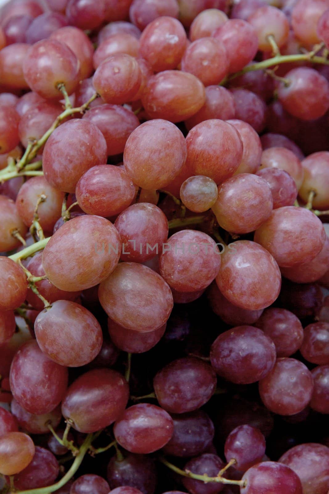 fresh red grapes