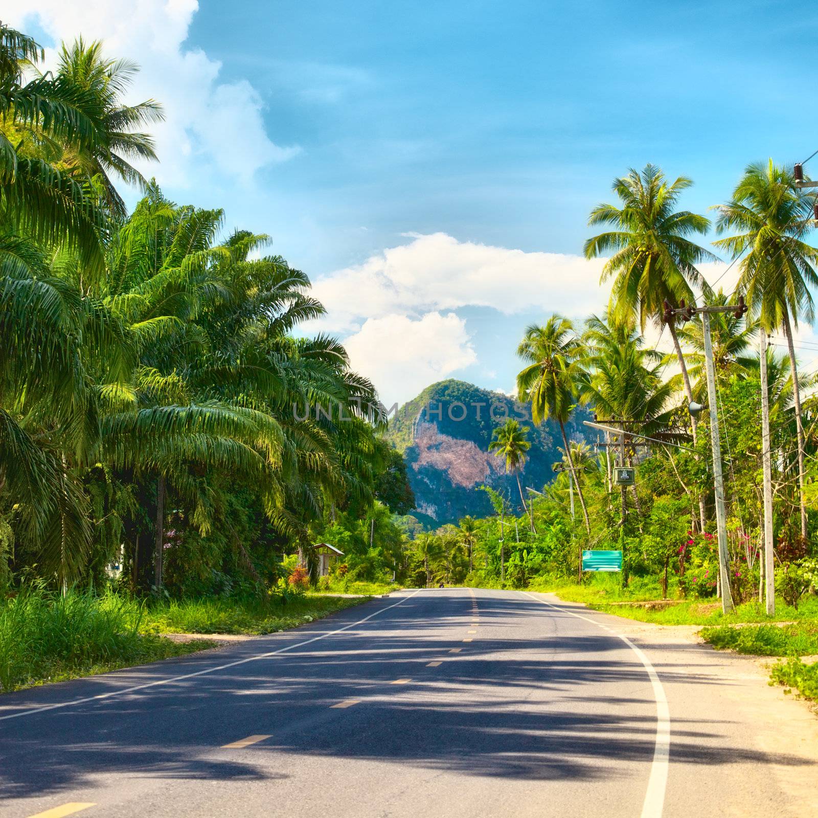 asphalt highway in jungle with mount, Krabi, Thailand