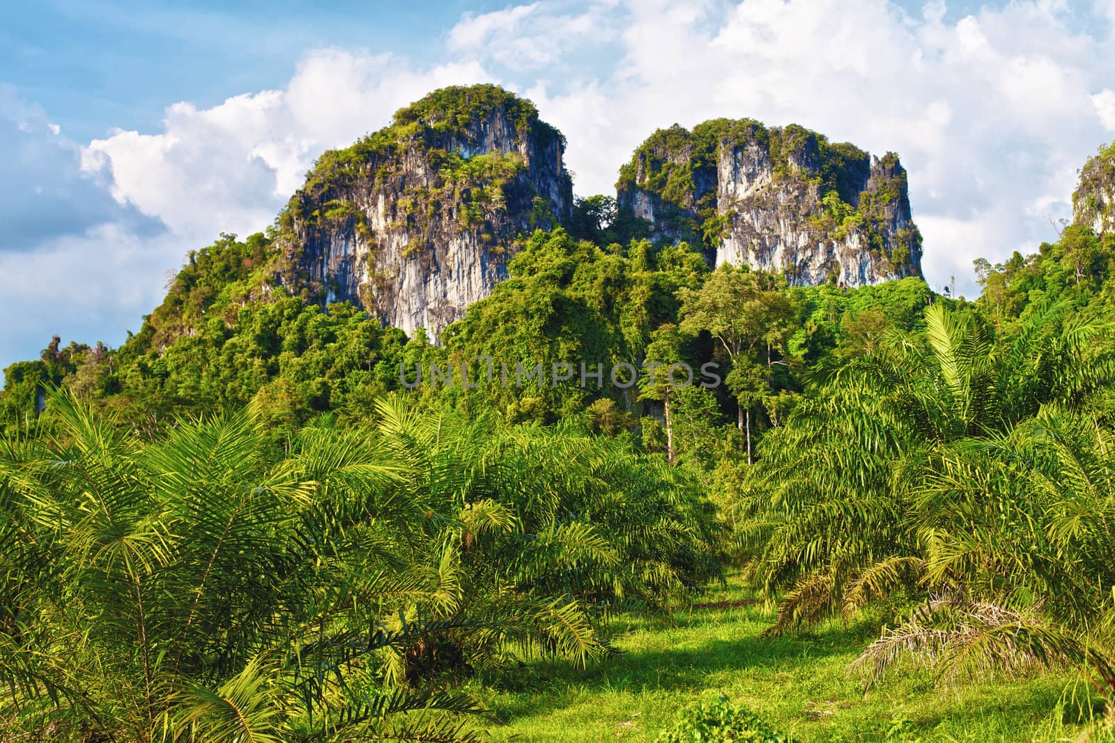 Thai Mountains by petr_malyshev