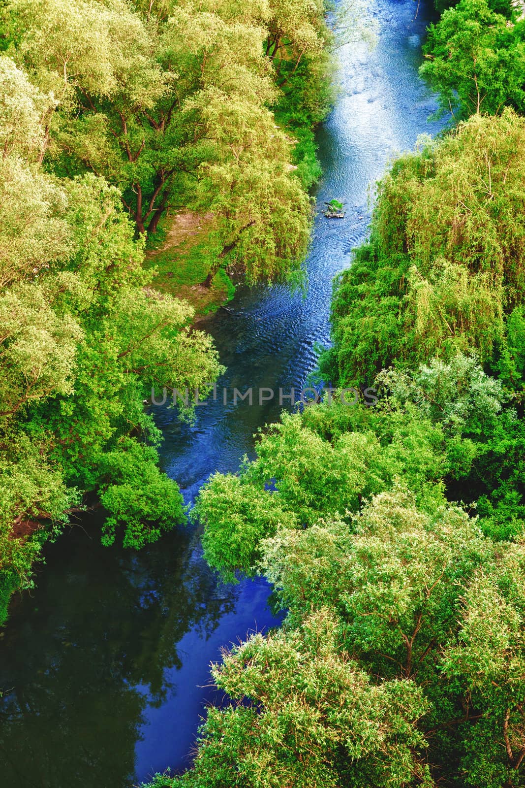 river in deciduous forest, aerial view, summer day