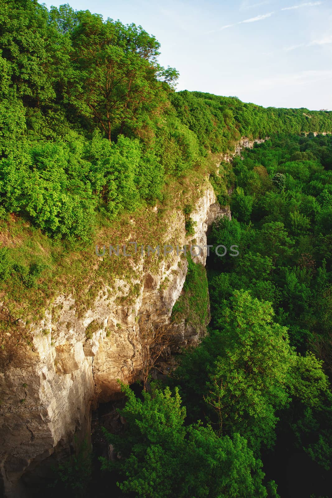 deep canyon with forest at summer day