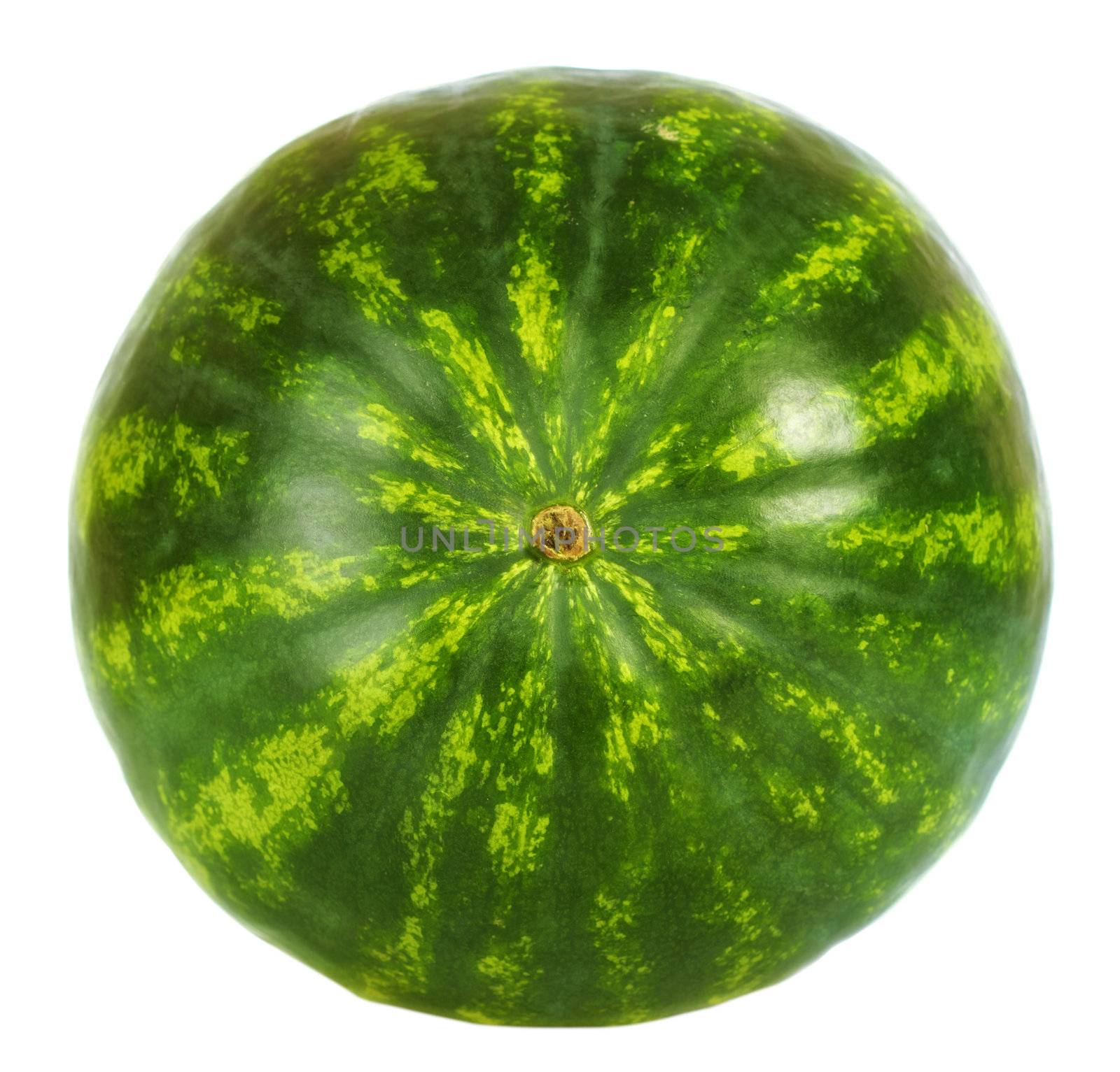 Fresh Watermelon by petr_malyshev