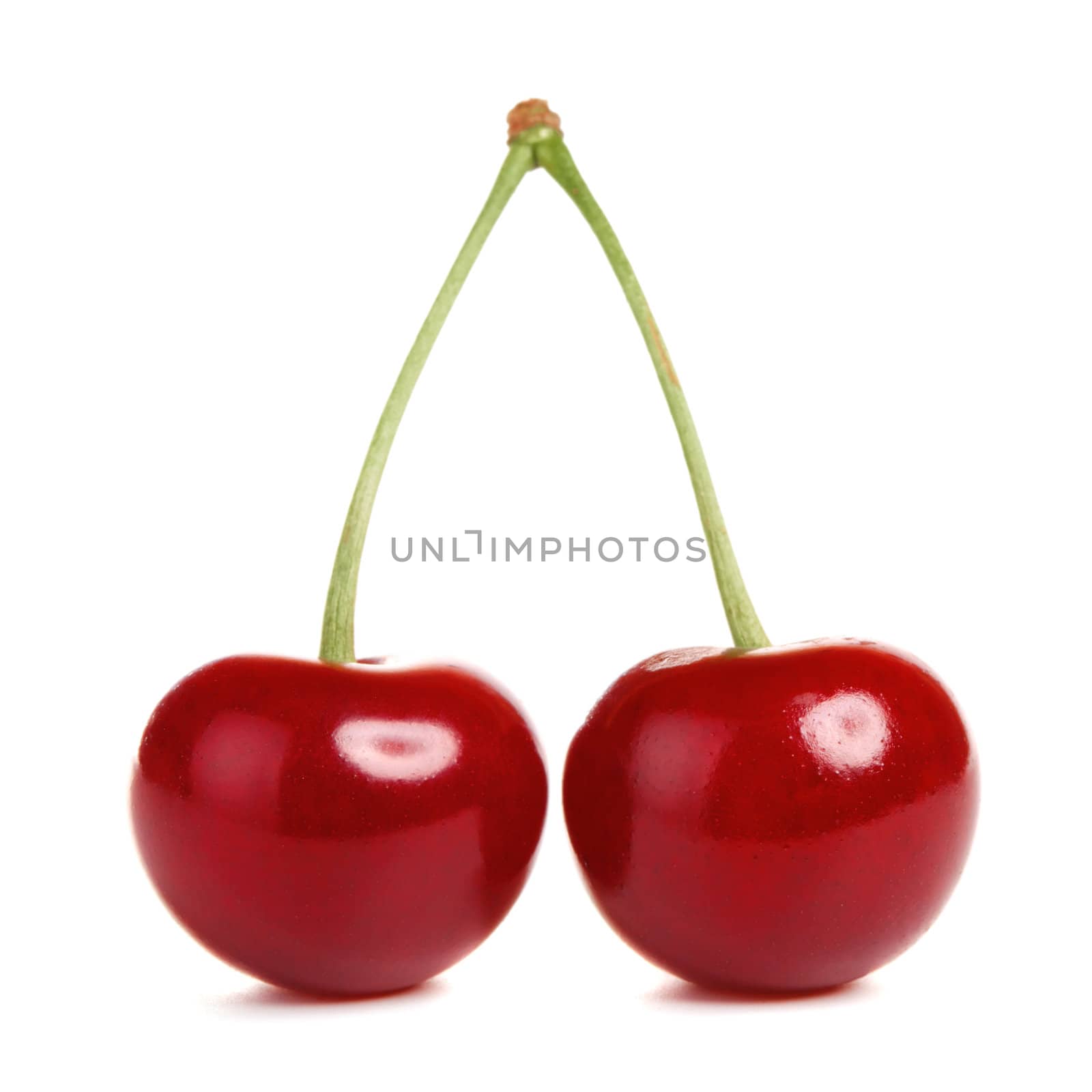 fresh cherries with stem isolated on white