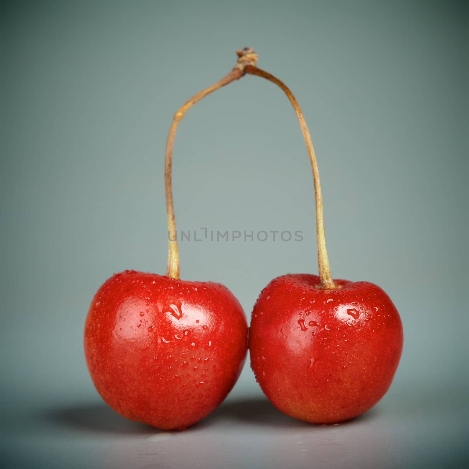 Fresh Cherries by petr_malyshev
