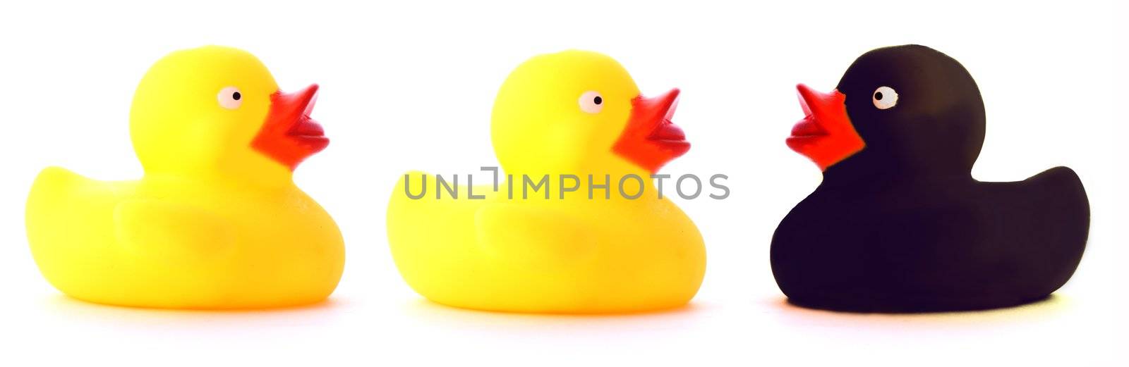 ducks integration