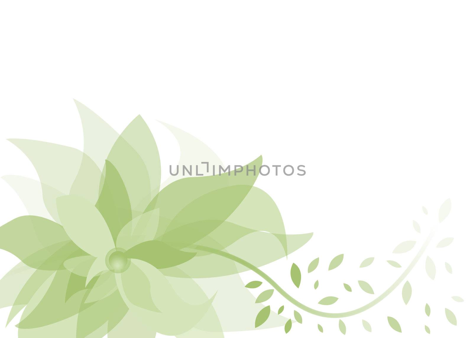 A beautiful green flower background with abstract petals and leaves