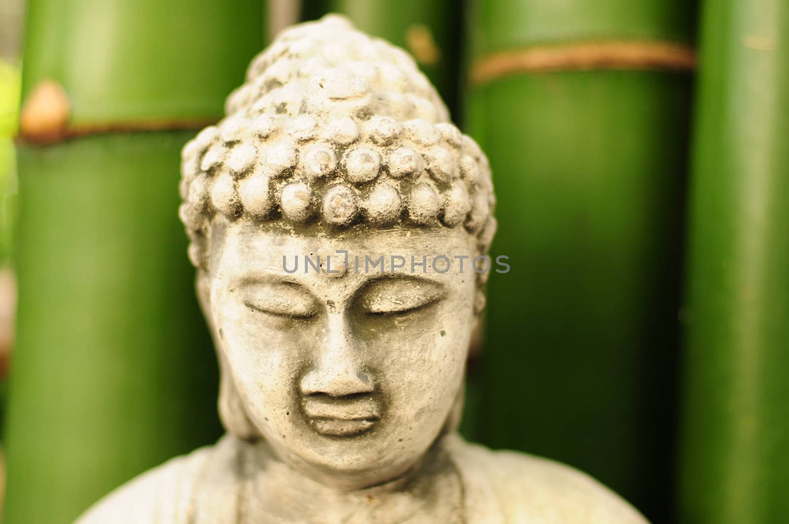 Buddha with bamboo in background by ftlaudgirl