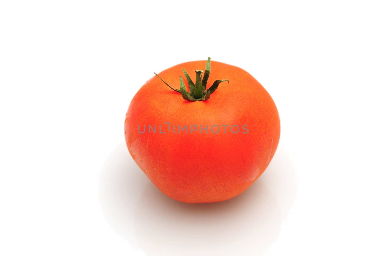 Red tomato on white background by ftlaudgirl