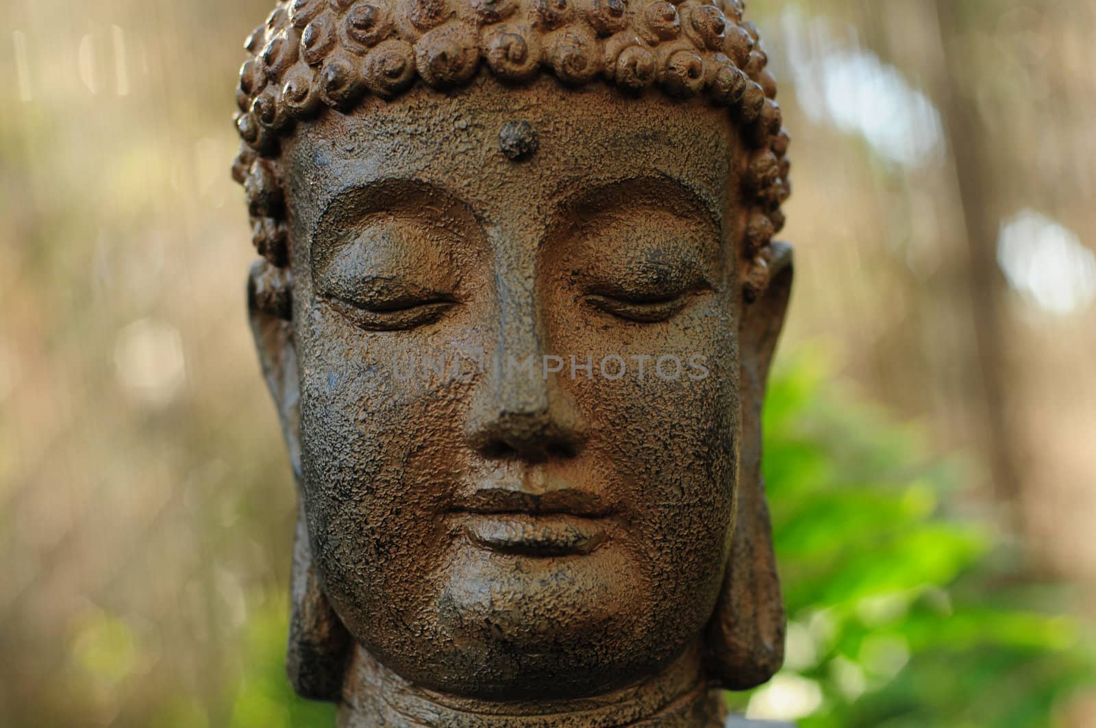 Buddhism culture by ftlaudgirl