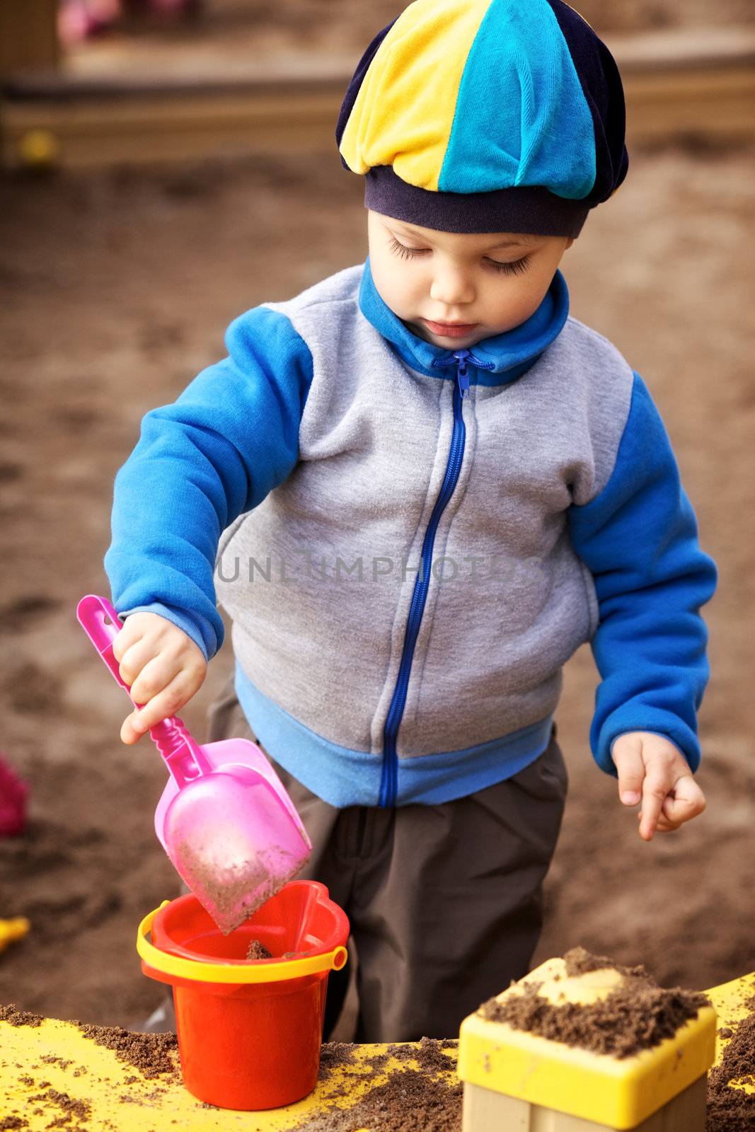 little boy playing in the sandbox at autumn