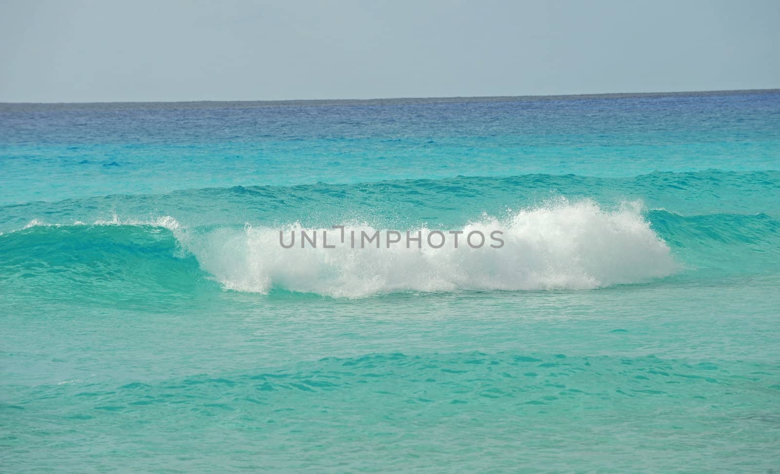 Waves in tropical setting by ftlaudgirl