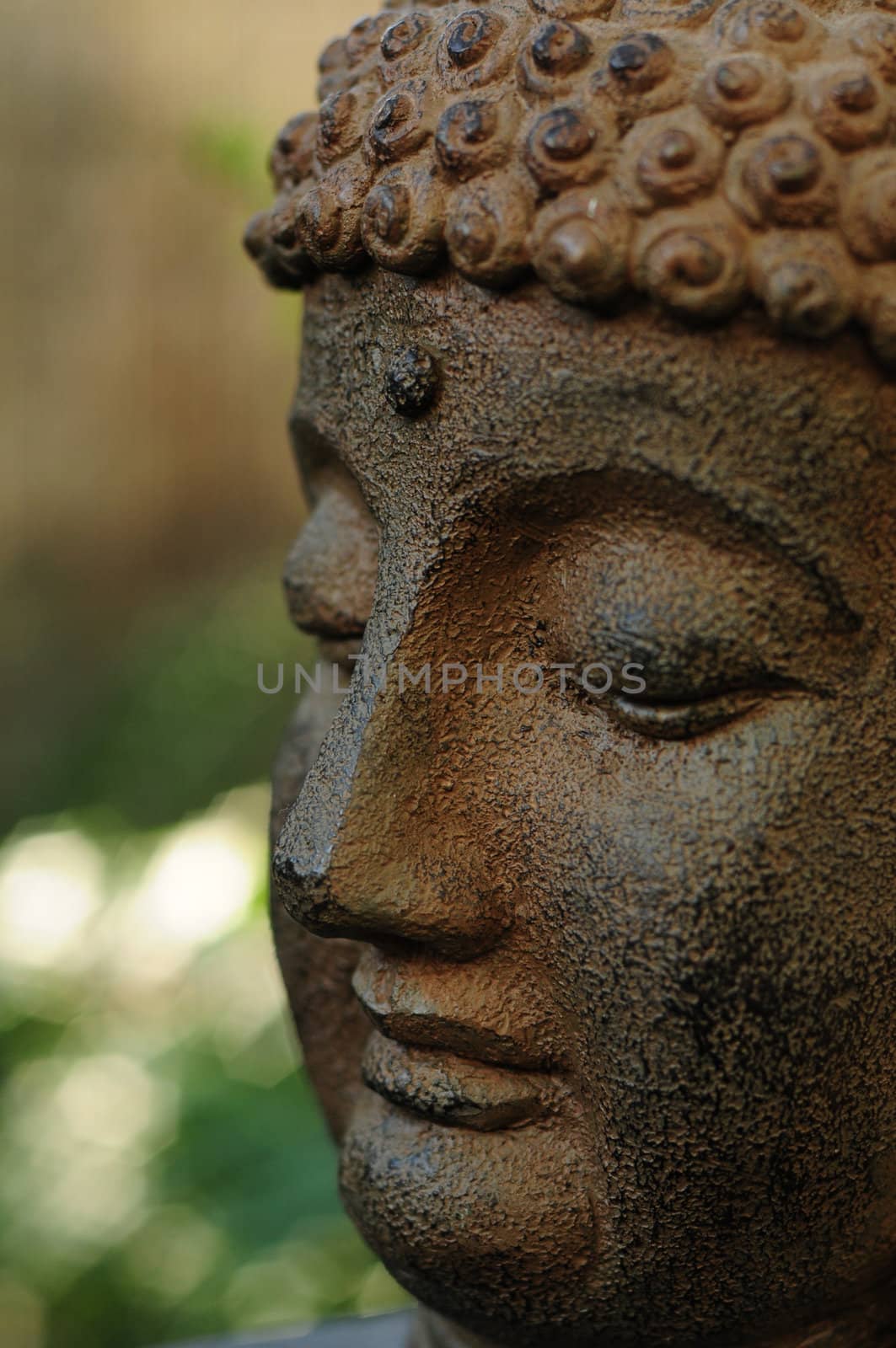 Close up of Buddha head  by ftlaudgirl