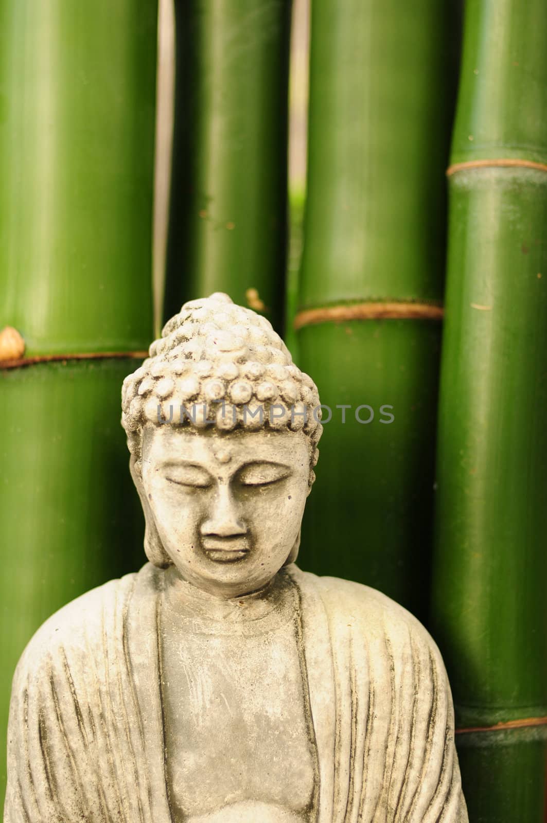 Buddha statue with bamboo in background by ftlaudgirl