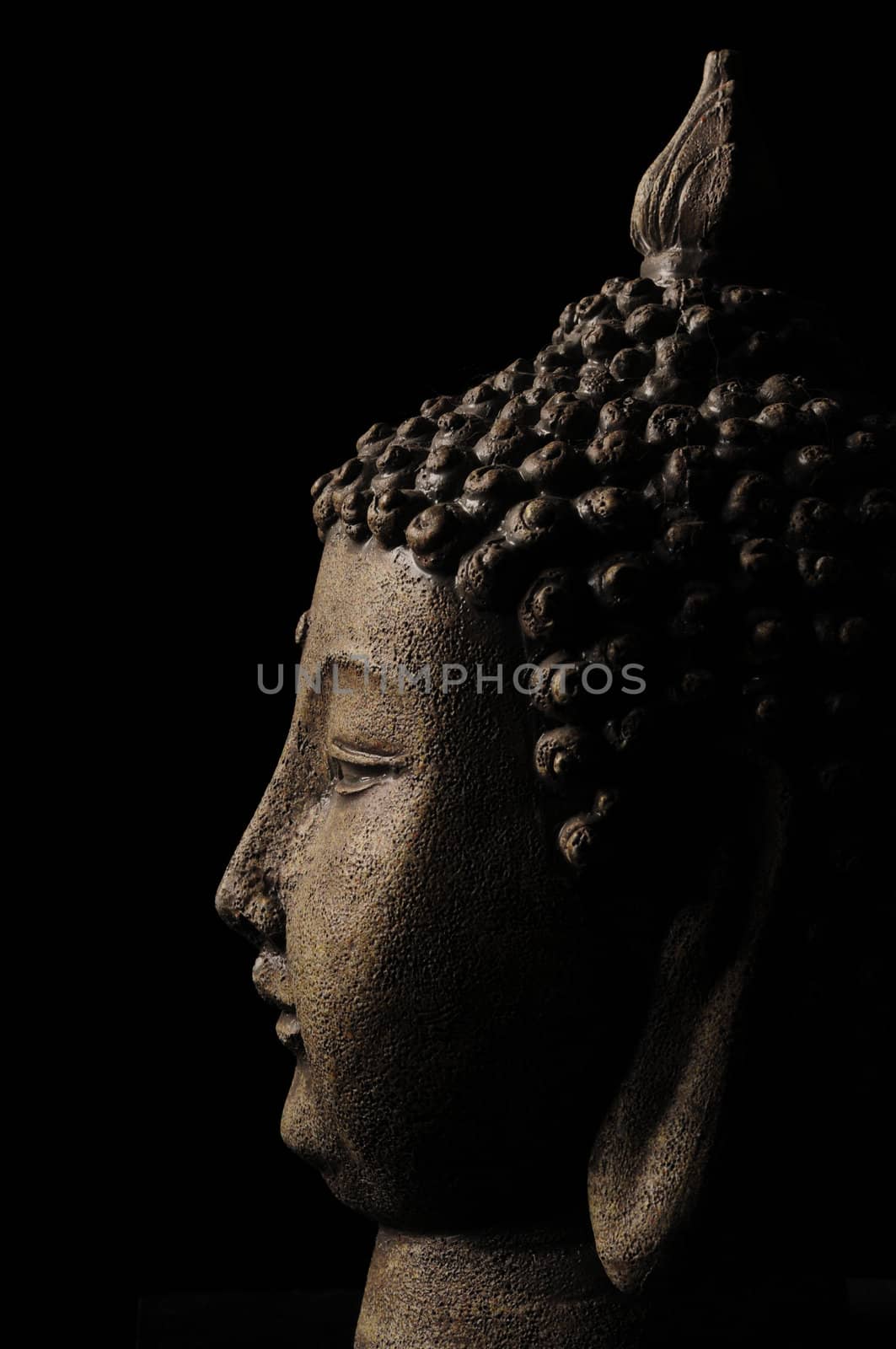 Buddha head isolated on black backdrop by ftlaudgirl