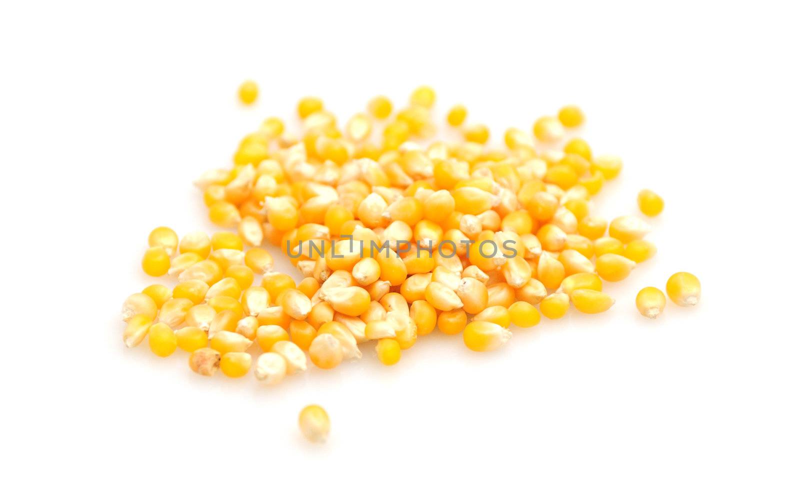 Raw popcorn seeds isolated on white background