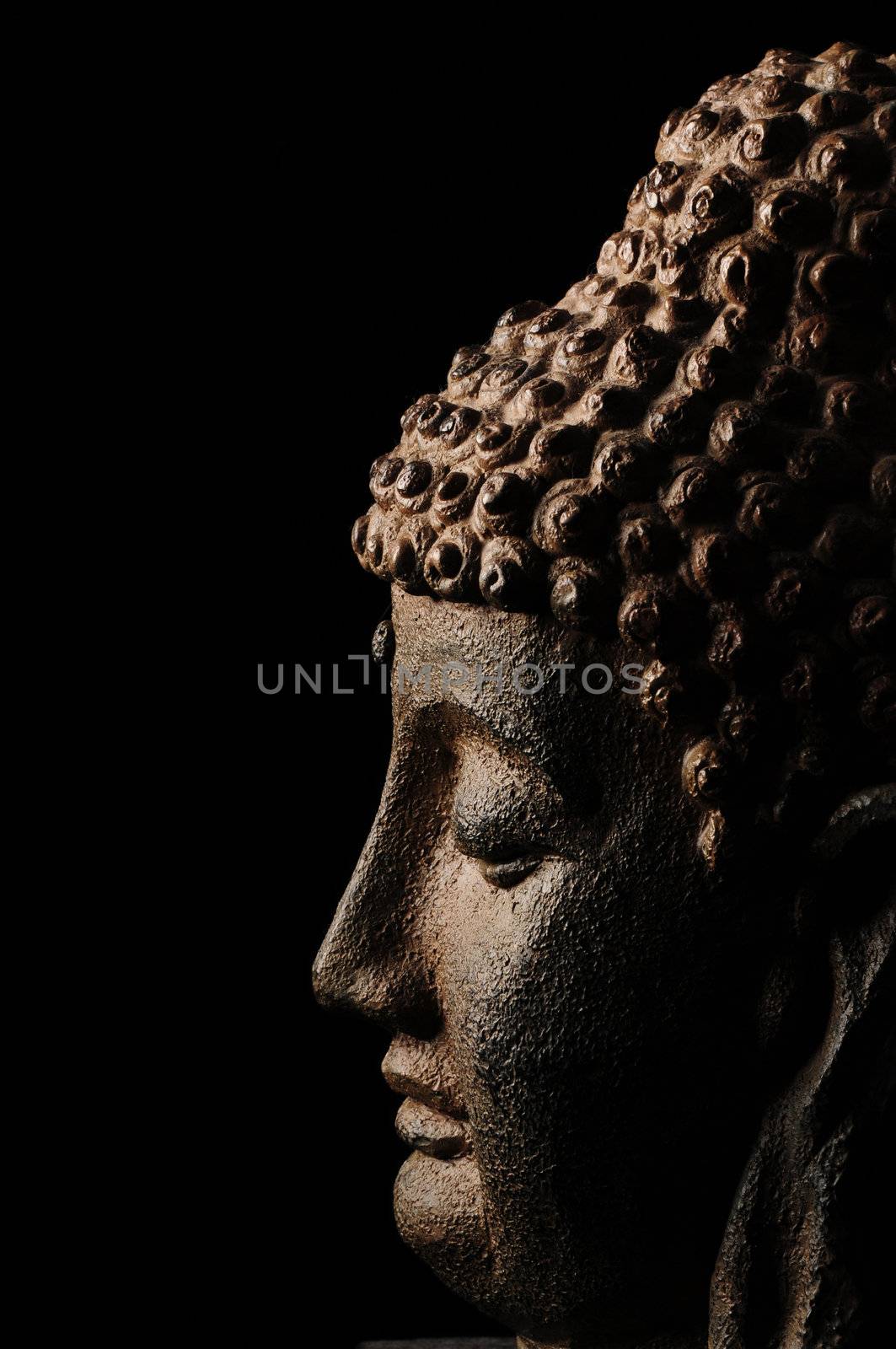 Profile of Buddha head on black background