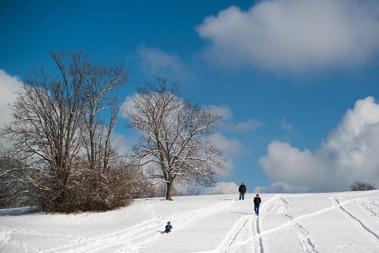 Stuttgart, Germany – February 9, 2013: Father and child having fun with their sledge, bright and white winter scene on February 9, 2013 on the hills of Feuerbacher Heide in Stuttgart, Germany.