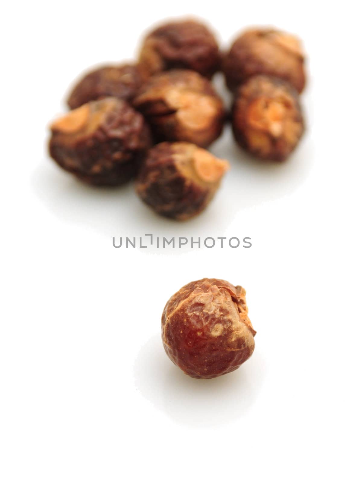 nuts from the sapindus trees isolated on white