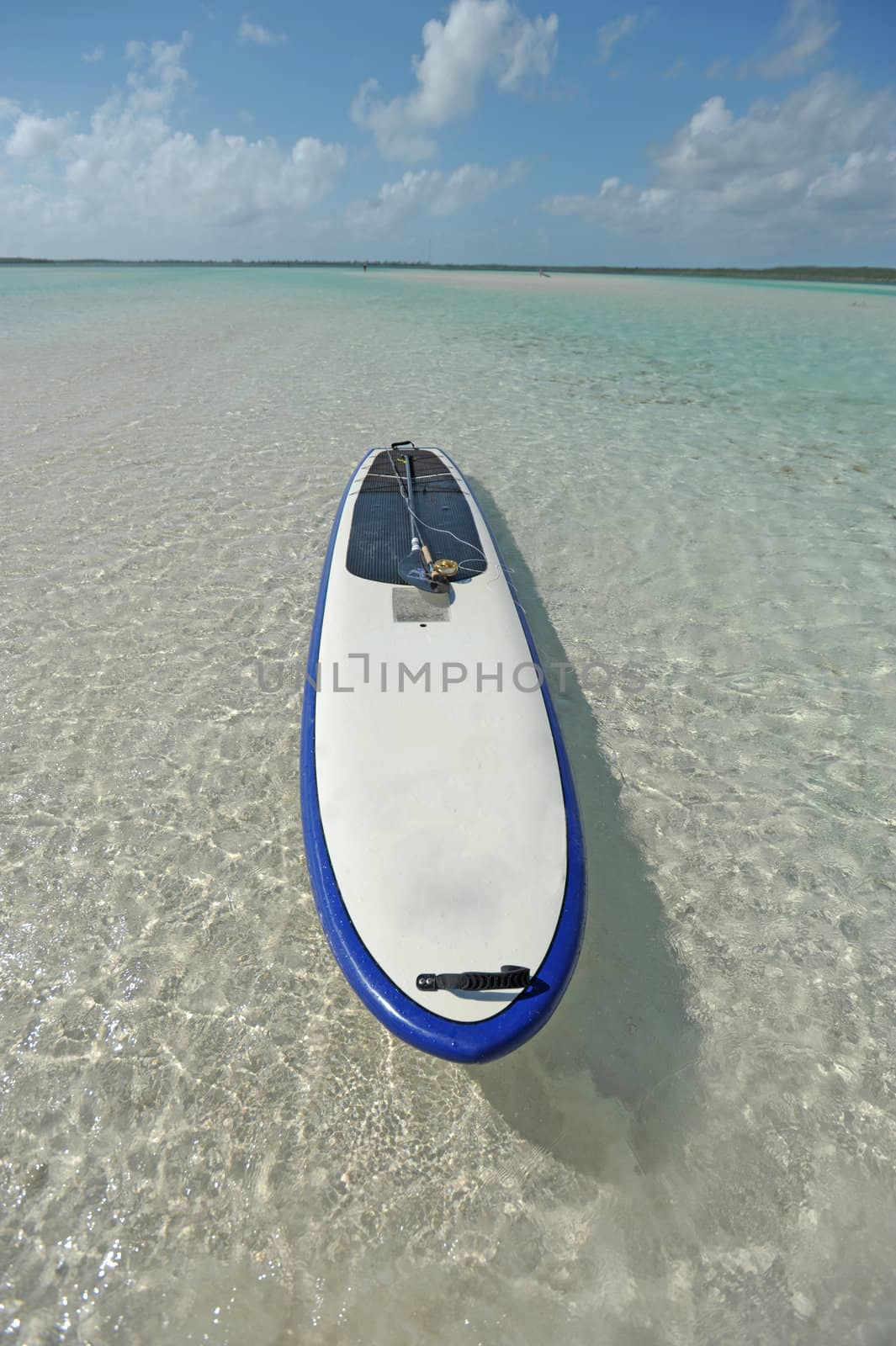 Paddle board in blue water in the Bahamas