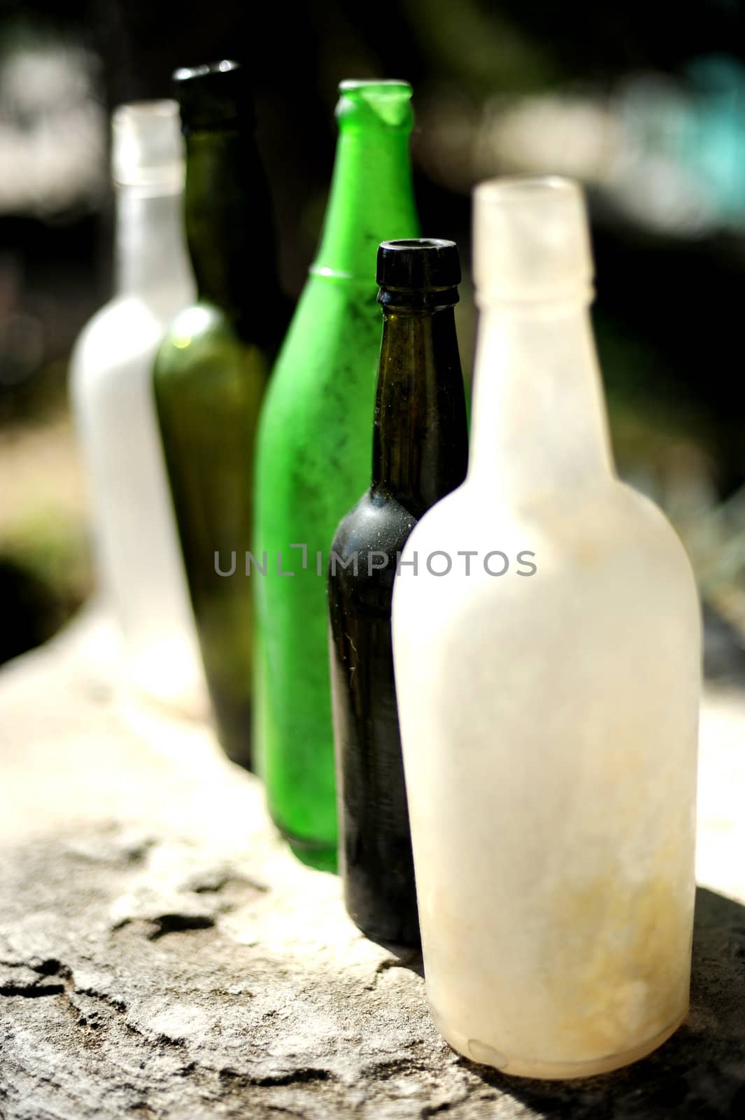 Five vintage beer and rum bottles lined up in a row