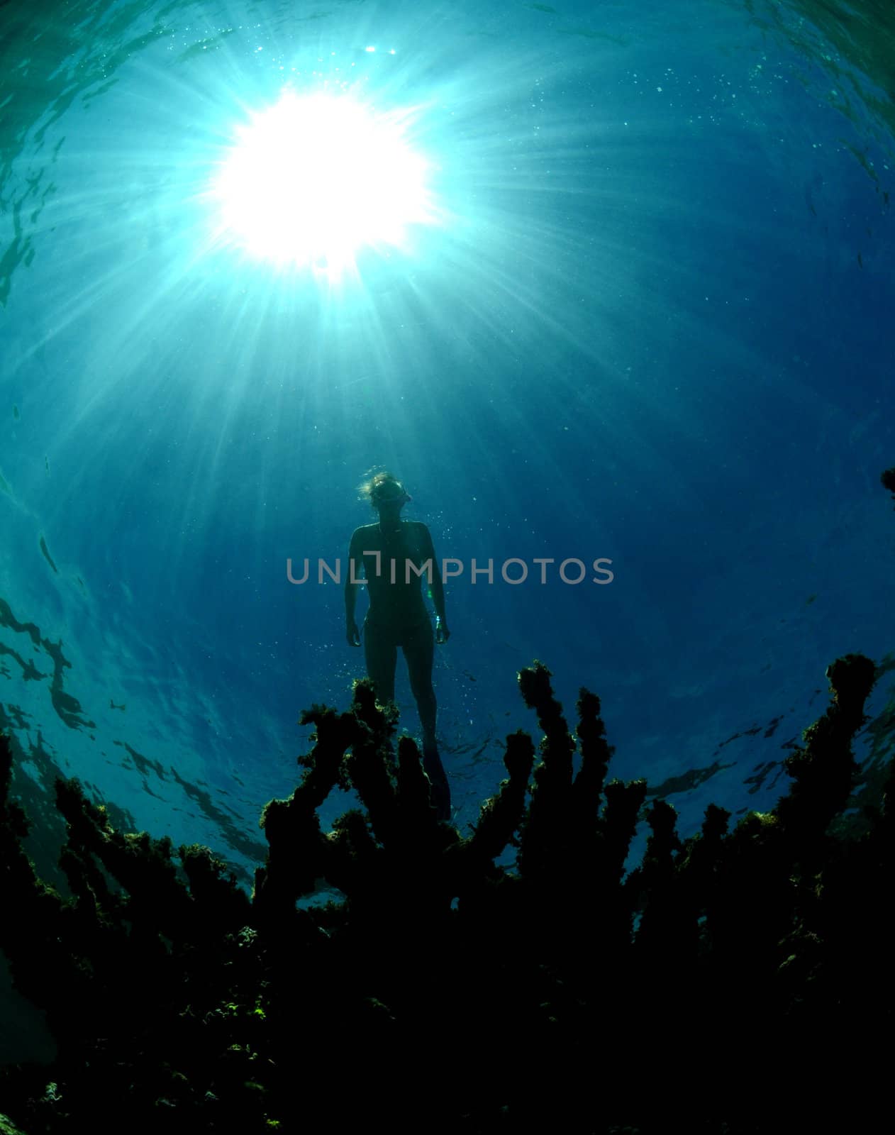 Underwater image of woman snorkeling in the Caribbean with a bright sunburst reflecting off the water