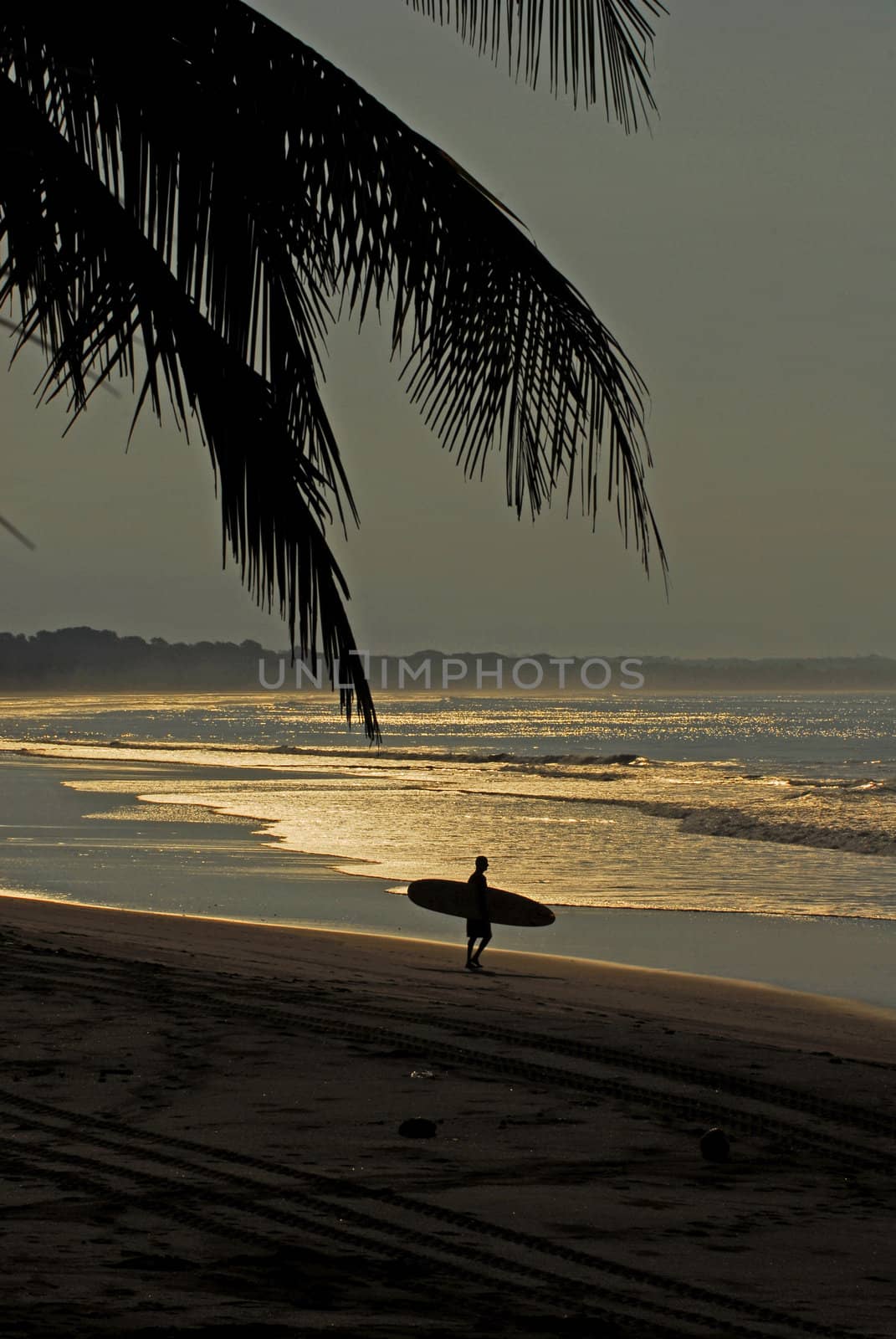 A man carrying his surfboard to the beach for early morning waves