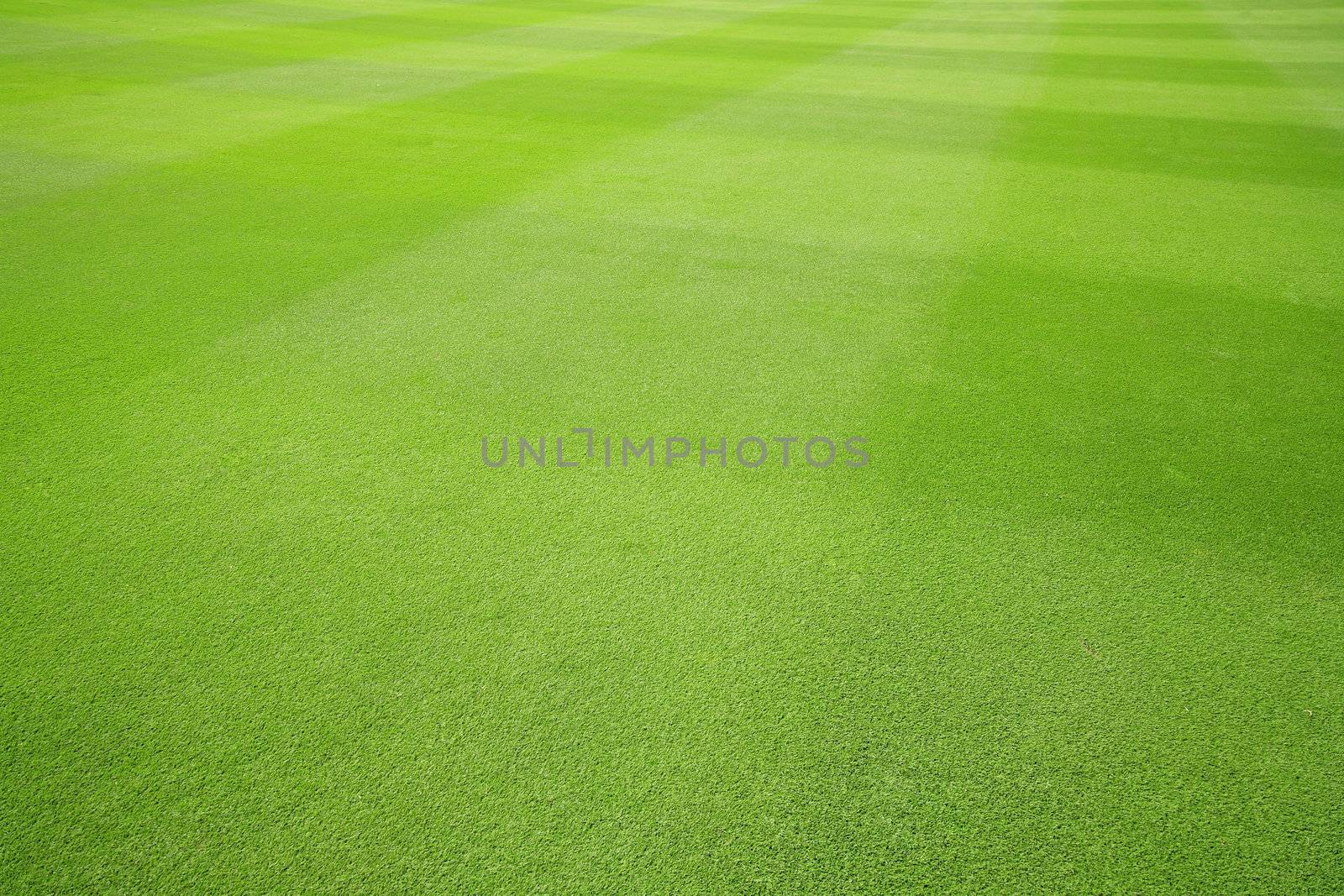 Floor grass