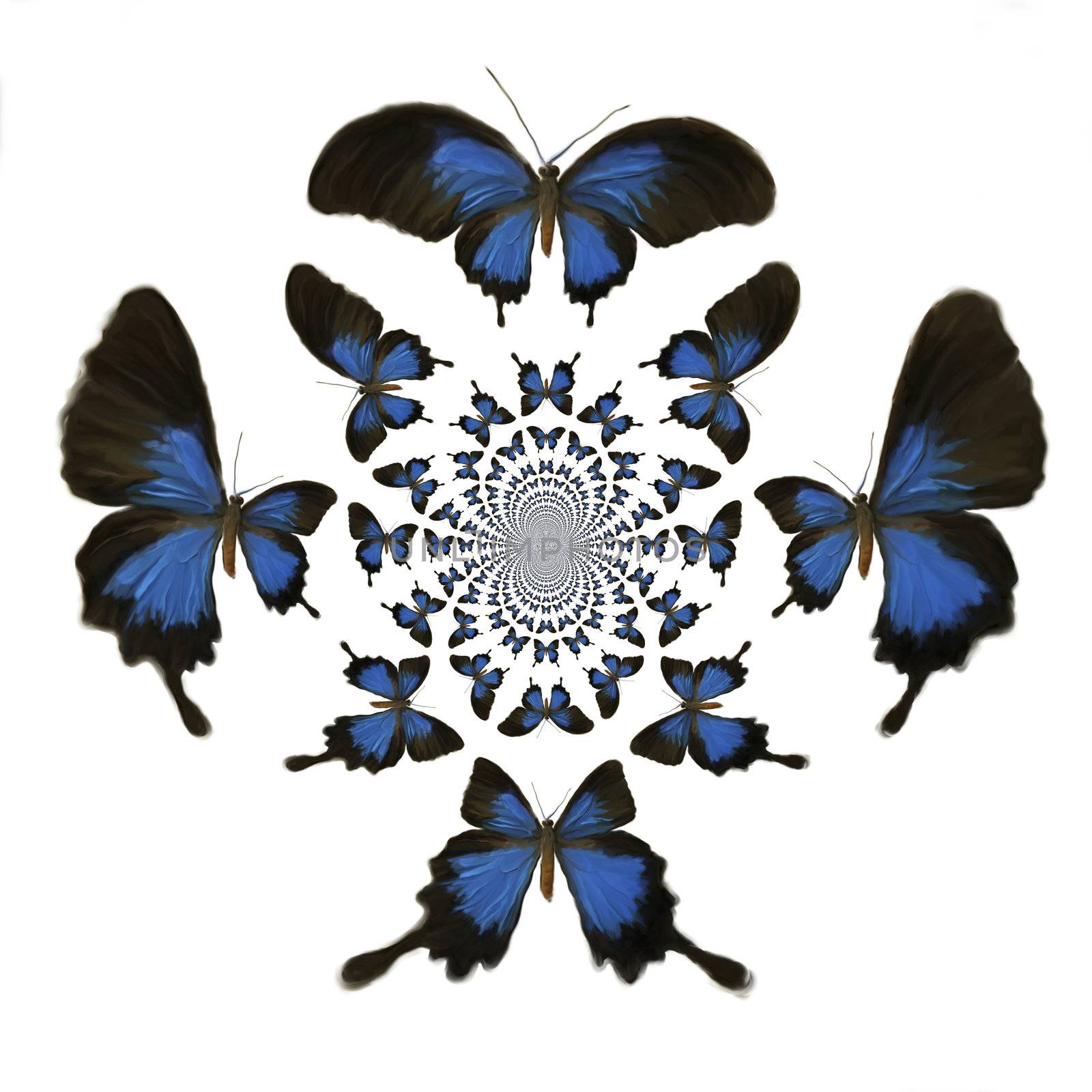 Kaleidoscopic Butterflies Illustration