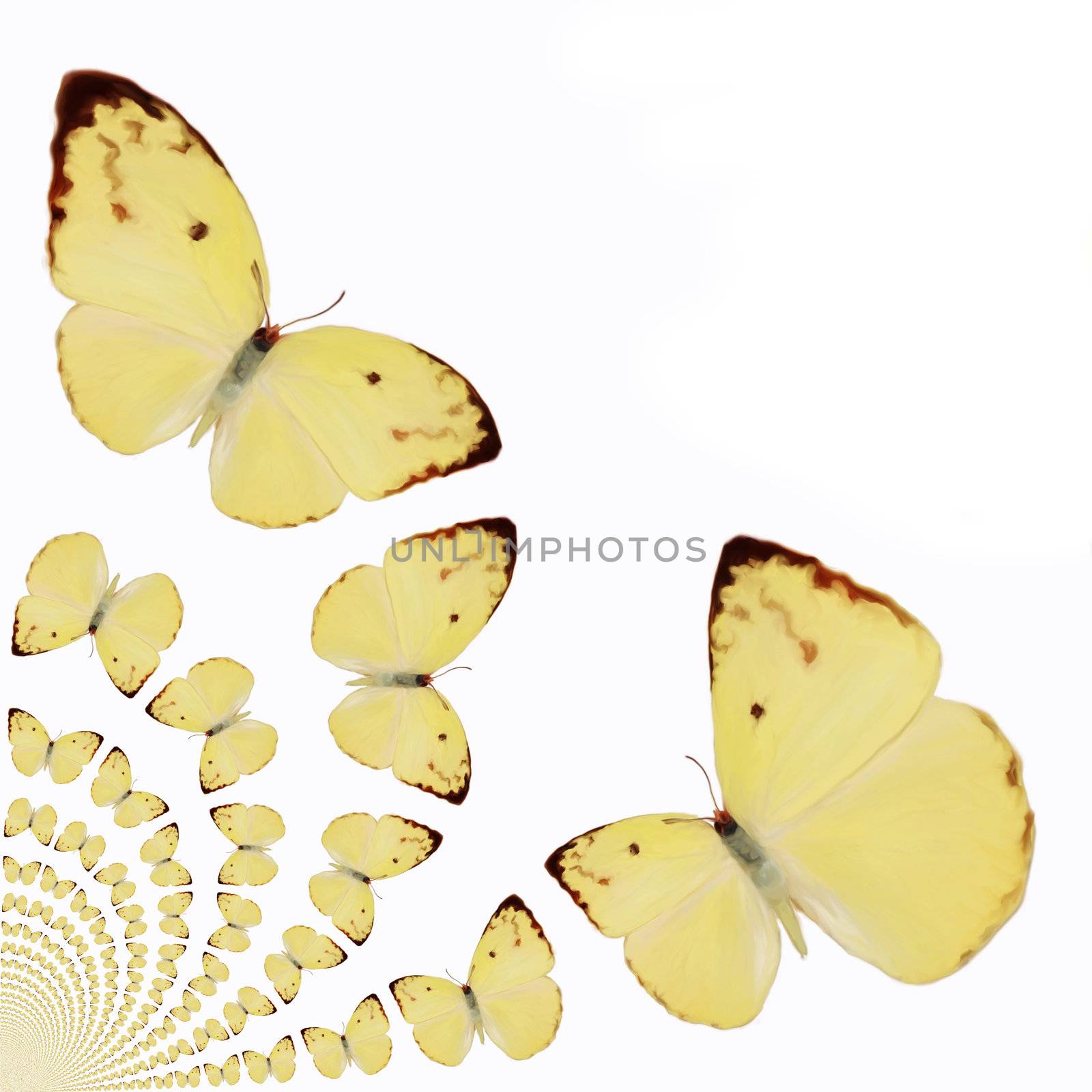 Kaleidoscopic Butterflies Illustration by 3quarks