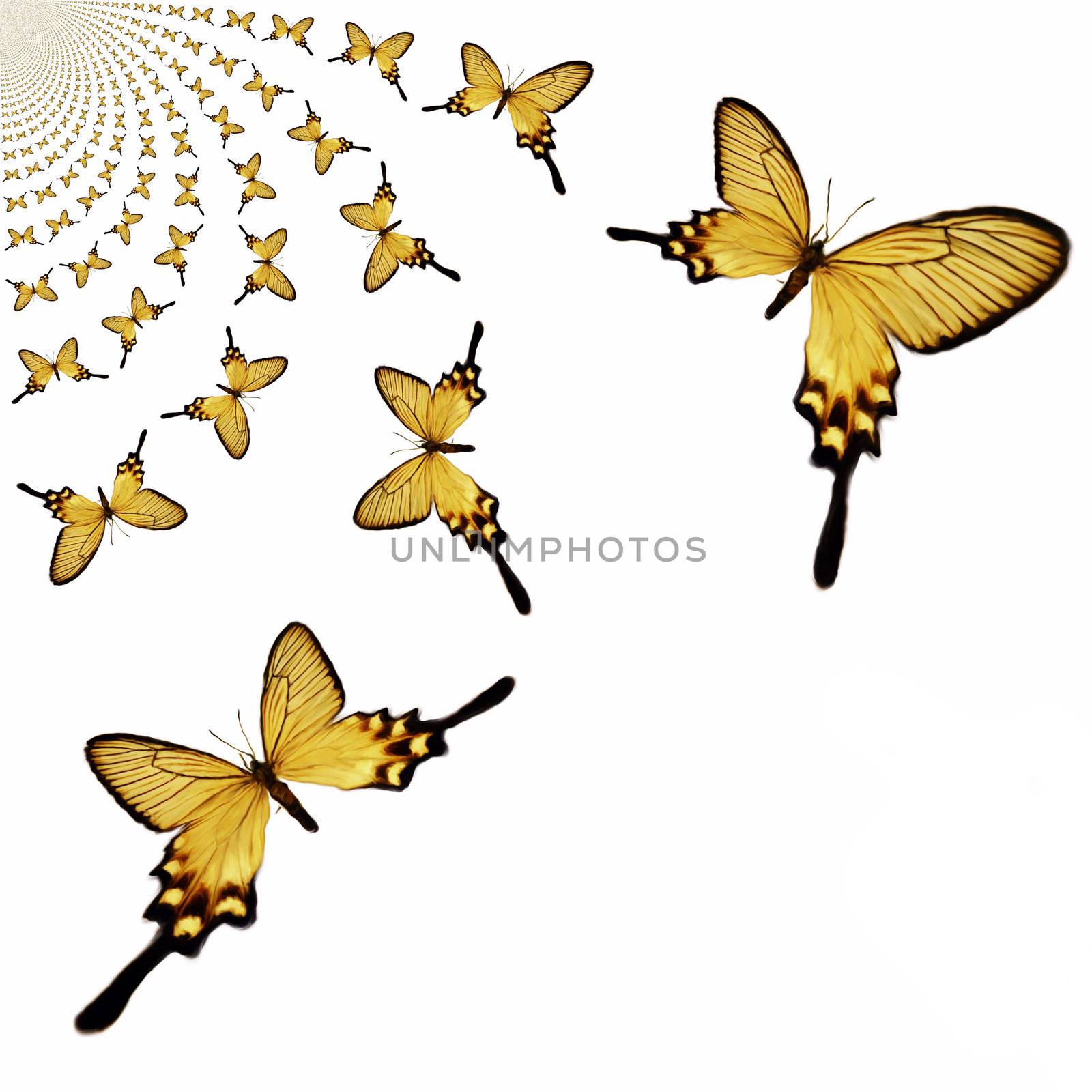 Kaleidoscopic Butterflies Illustration by 3quarks