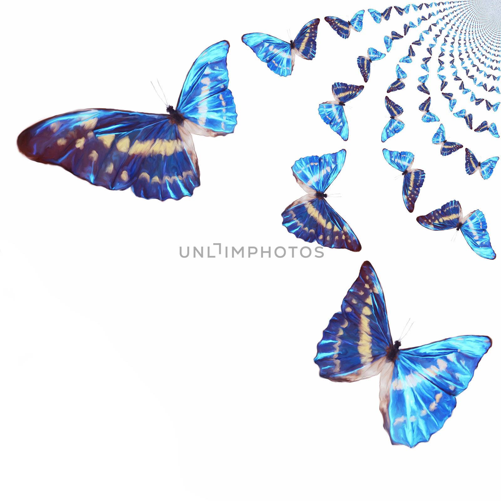 Kaleidoscopic Butterflies Illustration by 3quarks