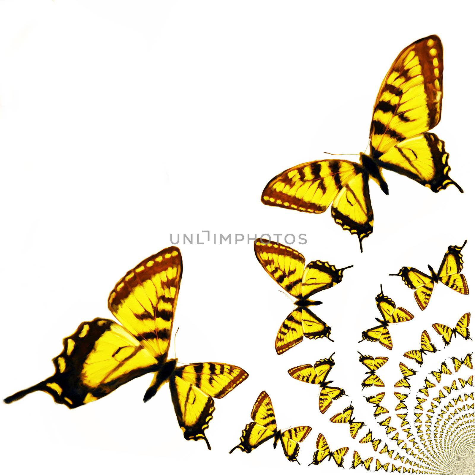 Kaleidoscopic Butterflies Illustration by 3quarks