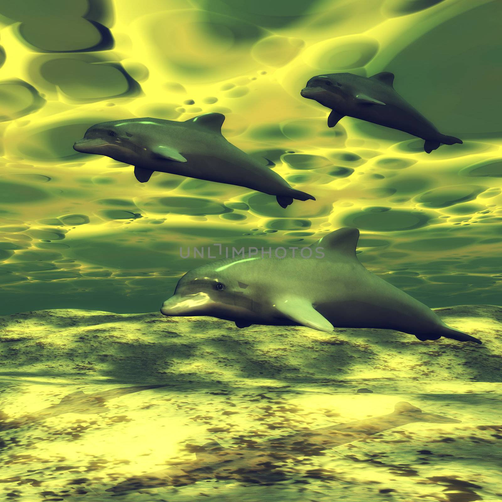 School of Dolphins by 3quarks