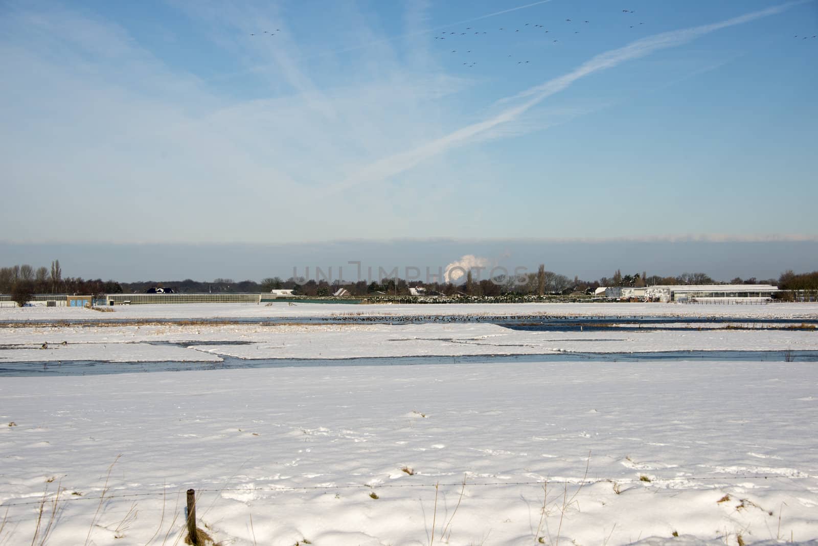 snow in winter landscape with birds and water