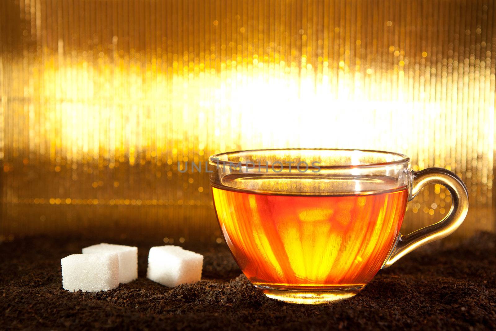 Cup of tea standing on dried leafs with lump sugar on abstract gold background